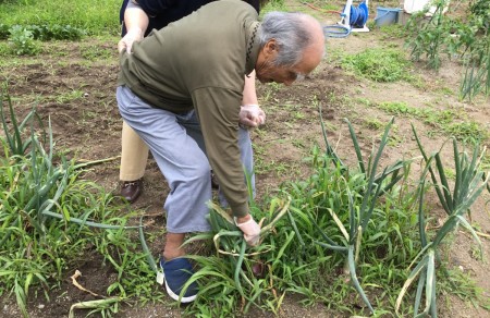 9fb0ee0370de2ee3dcaae7fbeccdf7b4