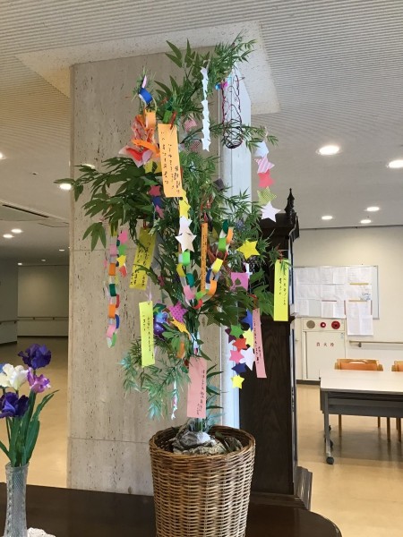 IMG_0099-e1625197842280