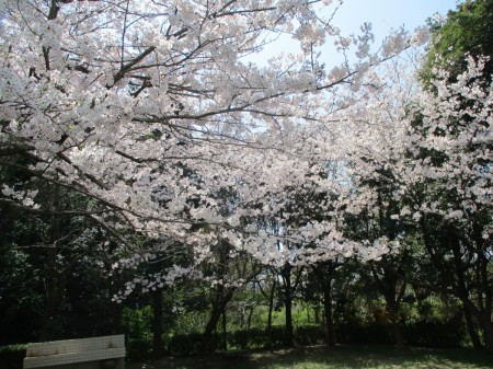 cb83bef64d6b7ac819ef5062c9500447